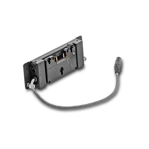 Battery Plate Gold Mount for Gemini 1x1