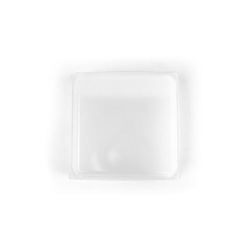 Astra IP 1x1 Domed Diffuser