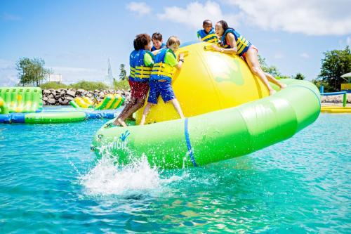 Spinner inkl 1 st bungee + handpump