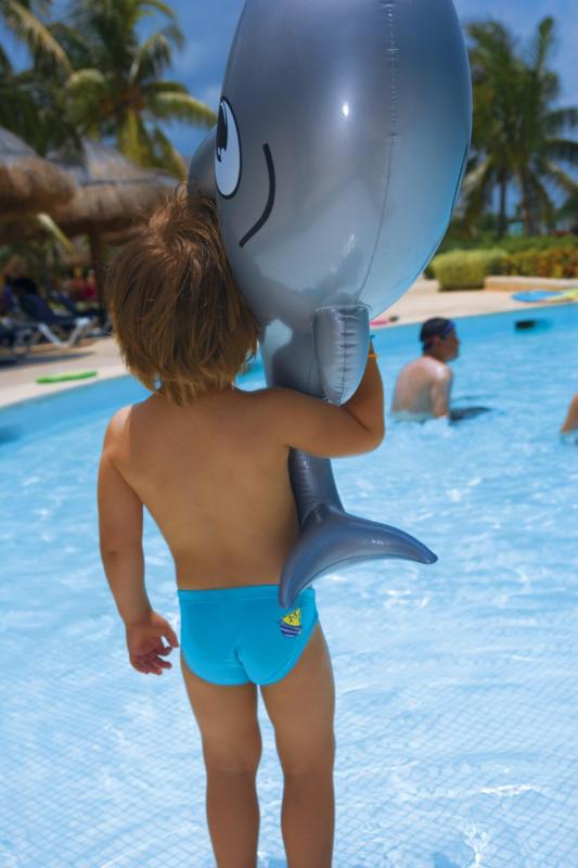Dolphin small