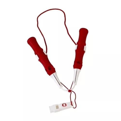 Isdubbar,  Hansa-dubben