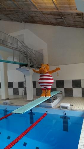 Maskot dräkter till vuxen.