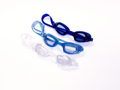 Simglasöga Lotus, vuxen, hel