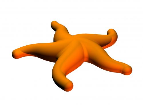 Sjöstjärna 106-0021