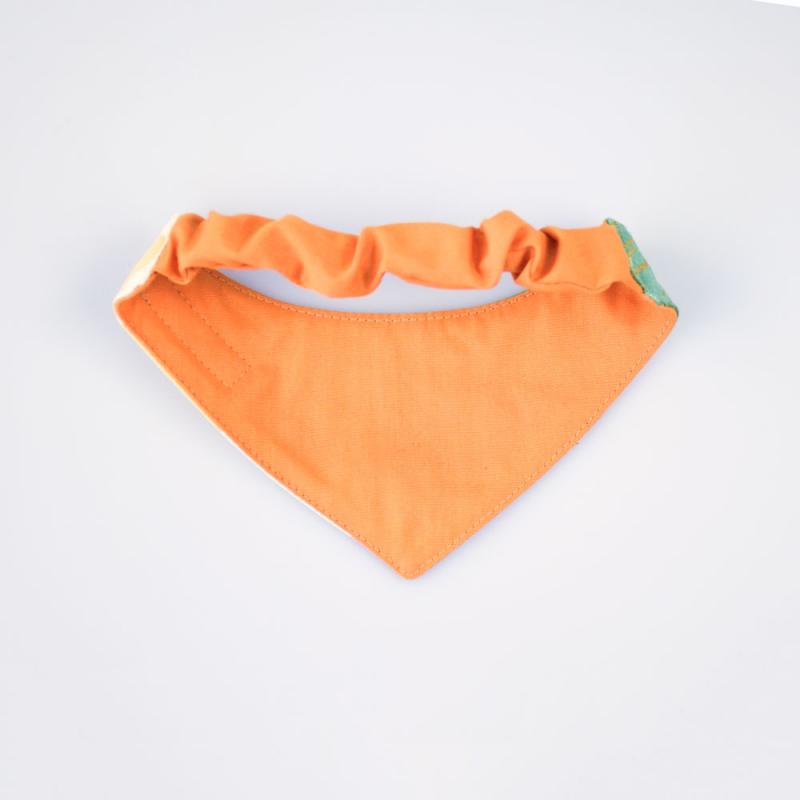 Baksidan av scarfs till hund med resår i färgen orange.