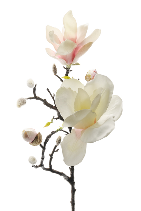 Magnolia H60cm Rosa