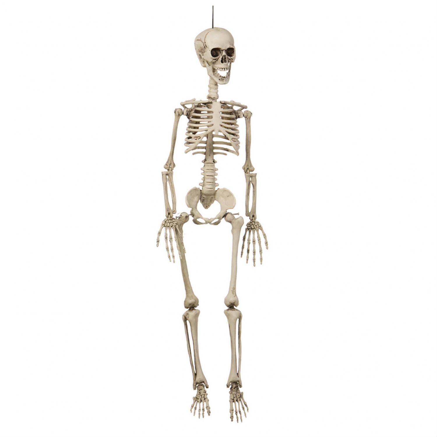 Skelett hängande 90cm plast