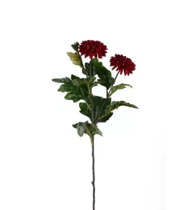 Chrysanthemum kvist Burgundy Höjd 53cm