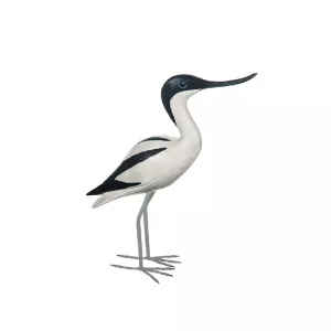 Fågel stornäbb svart & vit i trä H26cm