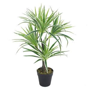 Grön växt i kruka H70cm