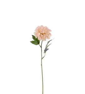 Kvist Zinnia Rosa H45cm