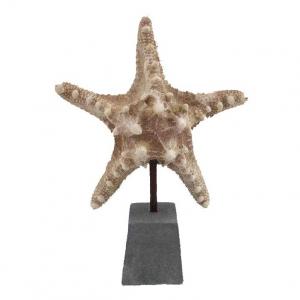 Sjöstjärna på fot H20cm