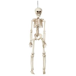 Skelett dekoration hängande L42cm