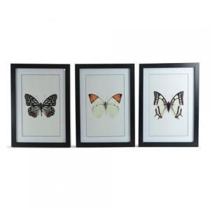 Tavla Fjärilar 3pack