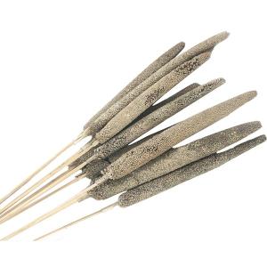 Torkat Bajra Spadix 50-60cm 10pack