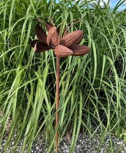 Vindsnurra rost Iris blomma H 120cm