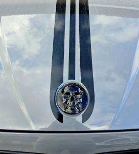 BMW 3D döskalle emblem skull märke till bilen