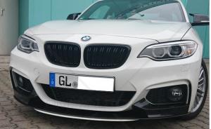 bmw m2  2 serie  grill njurar