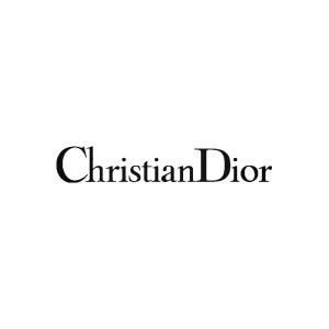 Dior logo klistermärke dekaler 2st