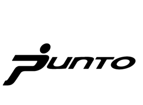 fiat punto dekaler till bilen