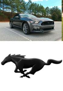 ford mustang emblem till grillen i svart färg