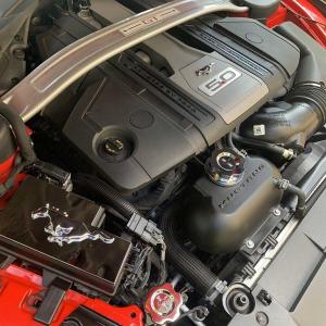 ford mustang emblem till motorhuv