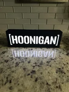 Hoonigan nattlampa perfekt till garaget