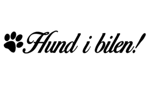 Hund i bilen dekal 2st dekaler klistermärke