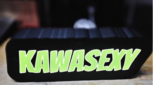 Kawasexy nattlampa LED Kawasaki lampa