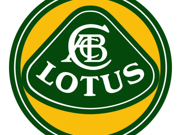 Lotus nattlampa dekorations-lampa
