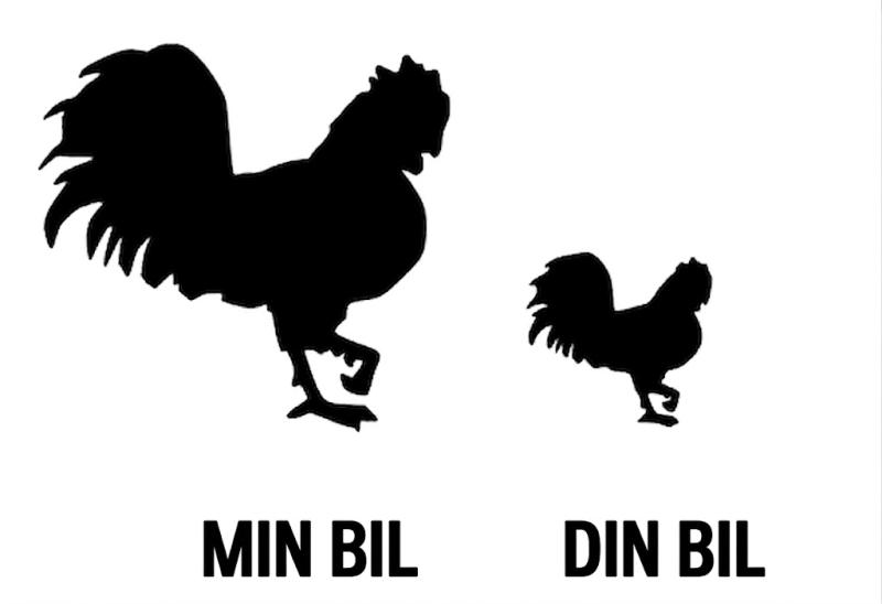 Min bil din bil rolig tupp dekal 2 st dekaler