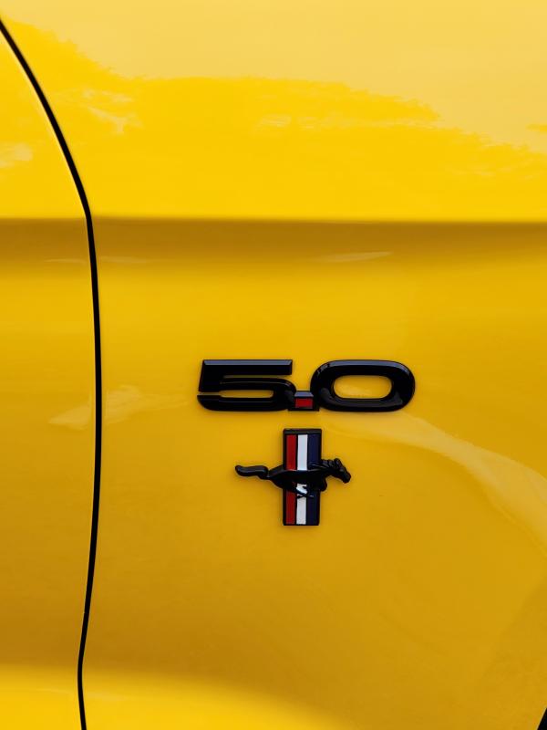 mustang gr 50  emblem