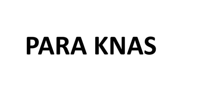 Para knas dekal stickers 2st dekaler