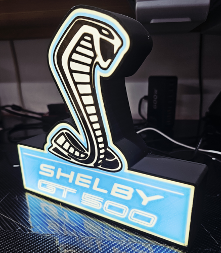 Mustang Shelby GT500 nattlampa Ford lampa