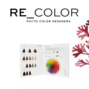 RE_COLOR