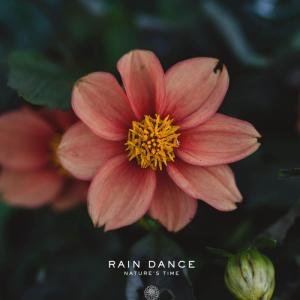 Rain Dance Thermo-Active Repair Fluid