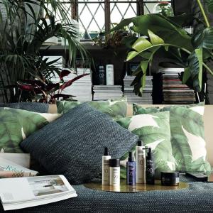 90 Free Shape Modelling Mousse