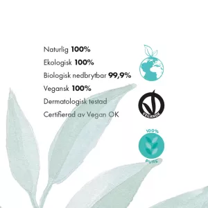 Rain Dance Renaissance Balance Elixir