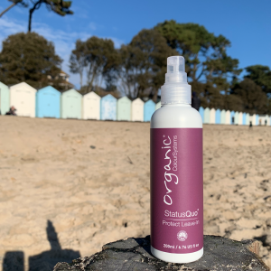 Status Quo Protect Leave In Conditioner