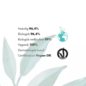 Rain Dance Renaissance Sublime Night