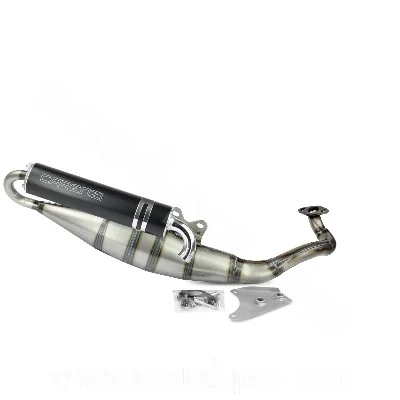 Avgassystem Carenzi Daemon Peugeot