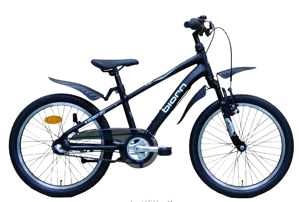 Biorn BoBo 20 tum, 3 vxl