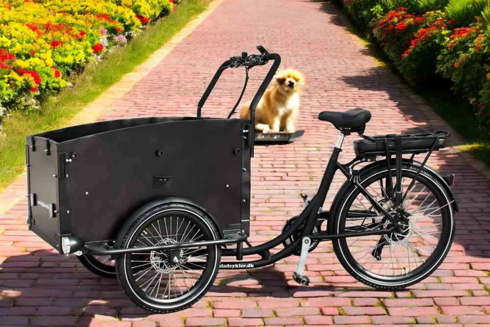 Lådcykel Ultimate Curve