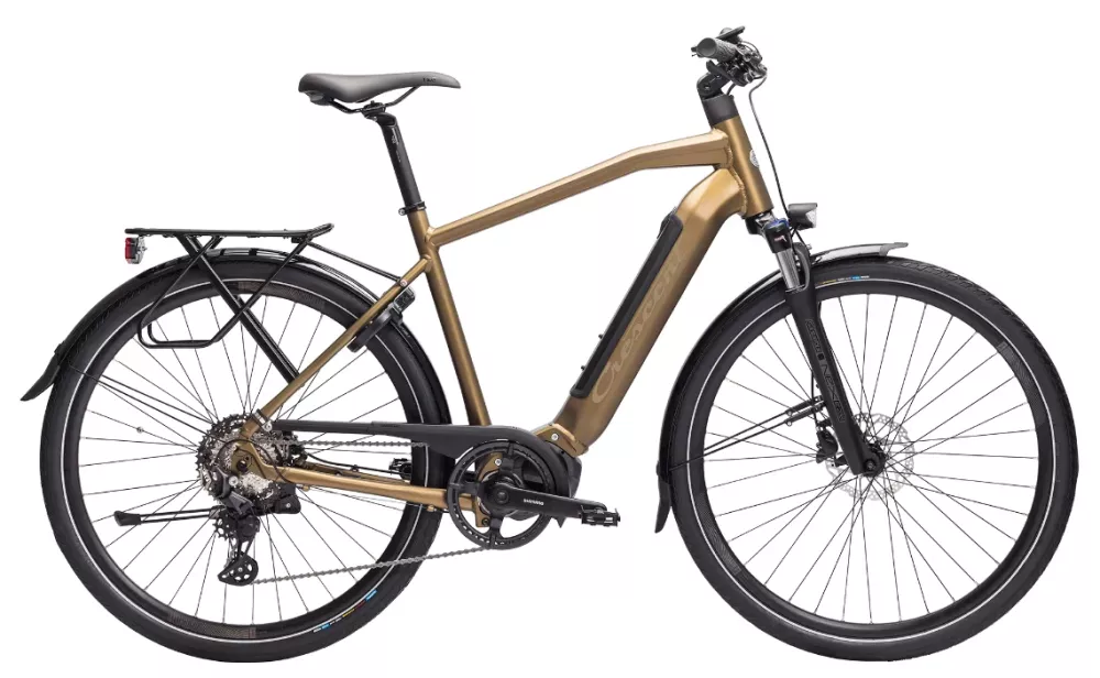 Crescent Elder 20S 10vxl 58cm