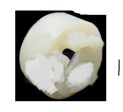 Kickfjäderhållare Honda MT