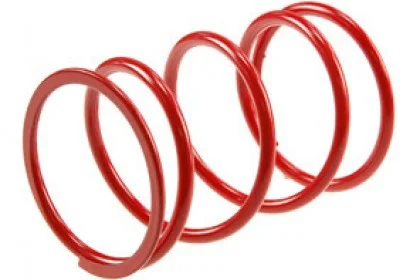 Tryckfjäder Malossi