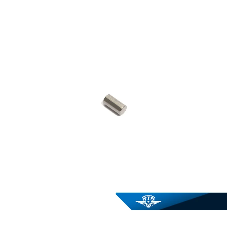 Lagerrulle Sachs 4×8 Made by SKF