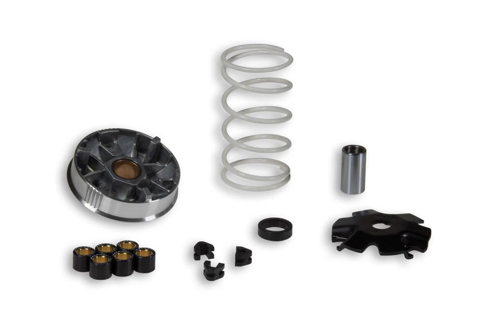 Variator Malossi Multivar