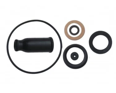 PACKNINGSATS DELLORTO SHA