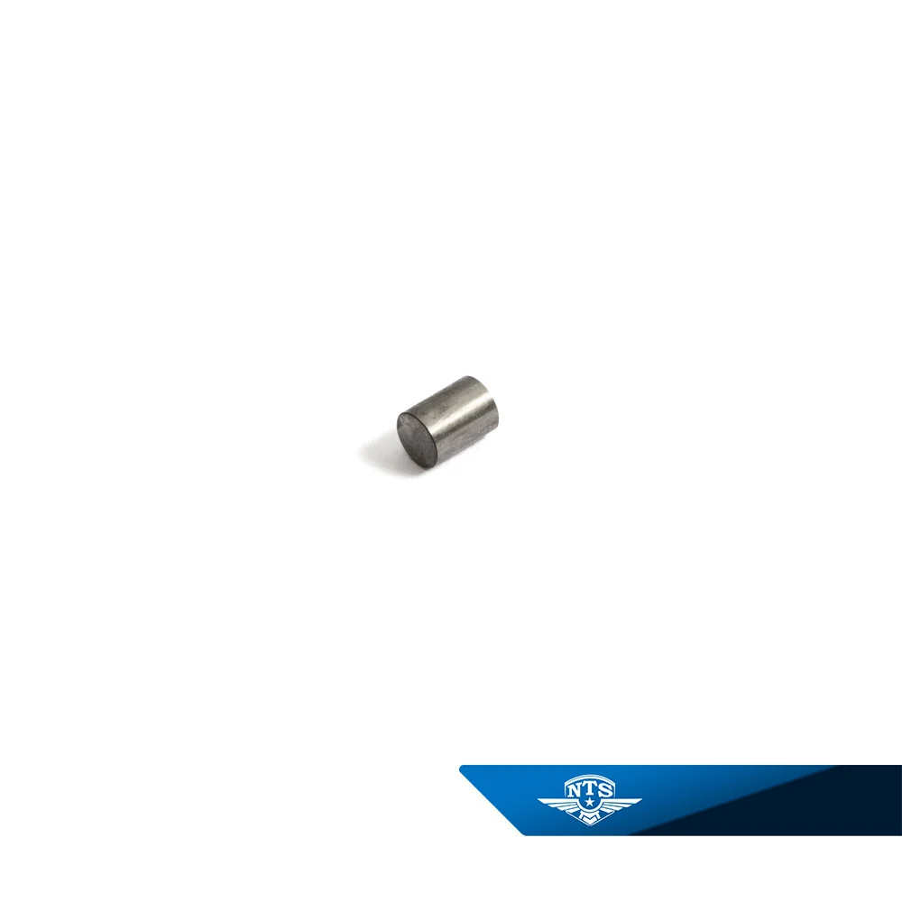 Cylindrisk Rulle Made by NTS 6×4.55 mm Sachs 50/2 50/3 50/4s